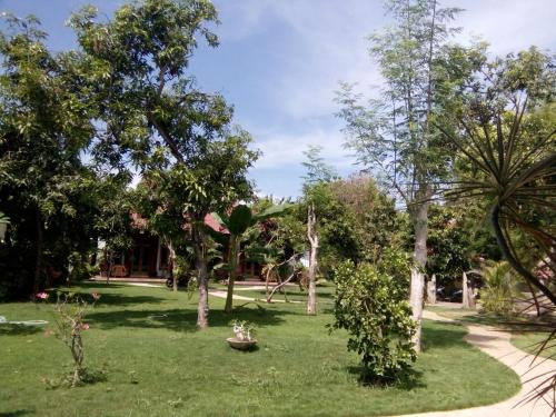 biorock homestay