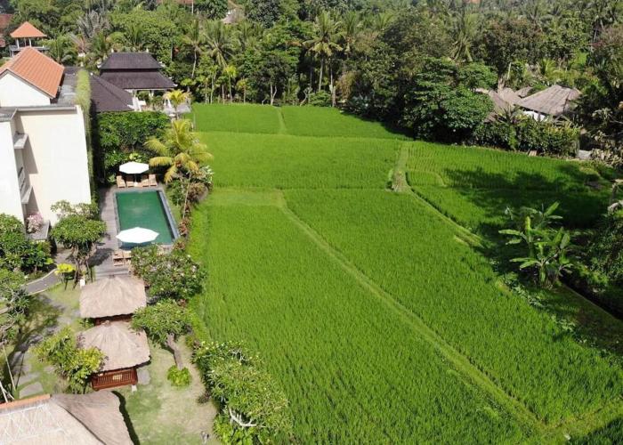 byasa ubud