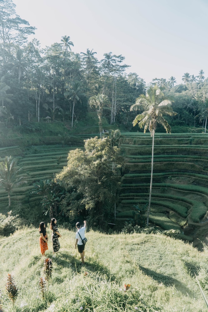 lodtunduh sari