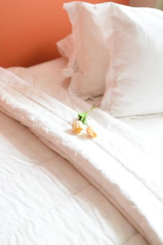 roemah 28 syariah boutique hotel