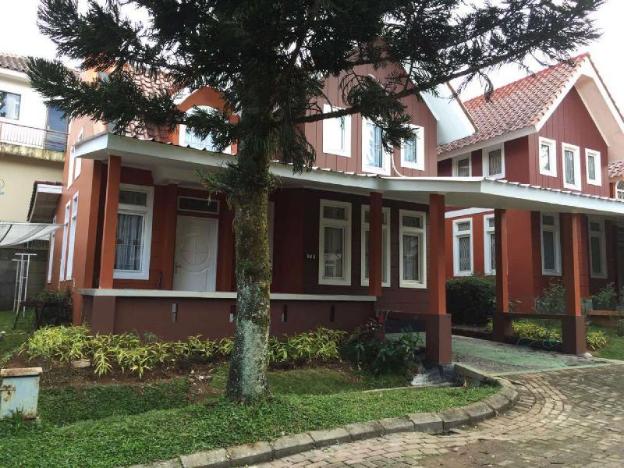 villa sofia kota bunga