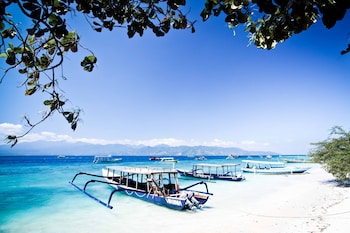 blue marlin trawangan
