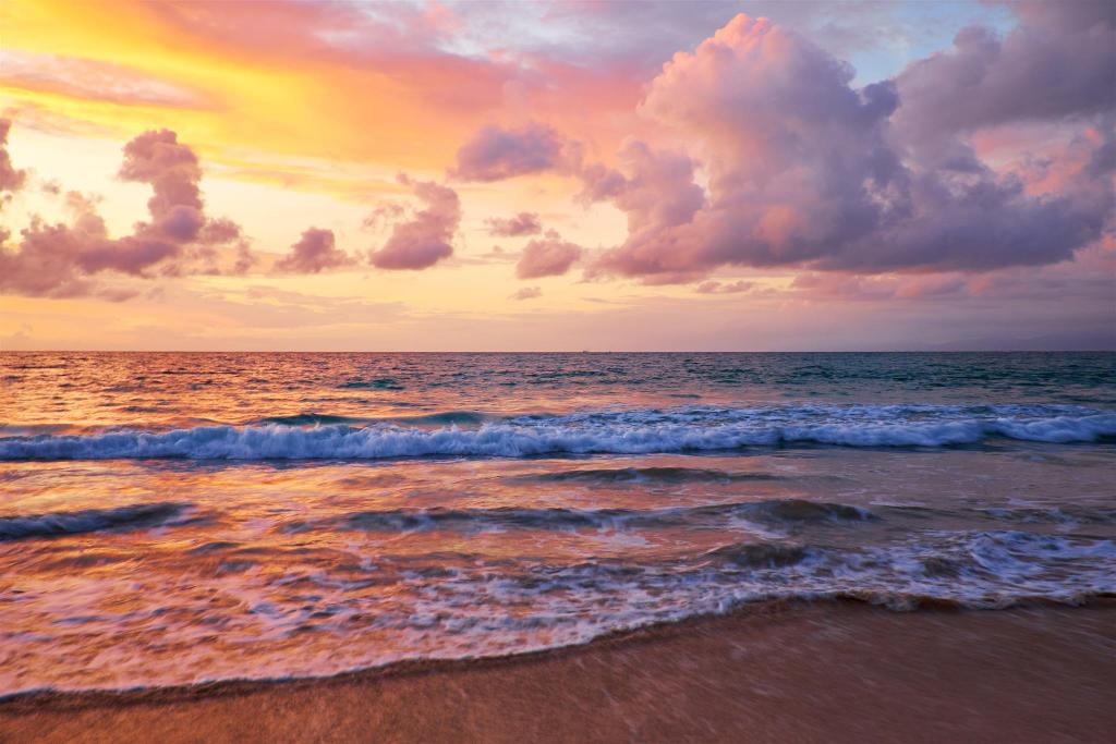 royal bay hotel makassar