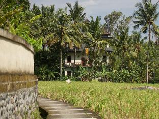 Eden House Ubud,In Ubud (Ubud City-Centre),3 star