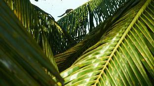 Eden House Ubud,In Ubud (Ubud City-Centre),3 star