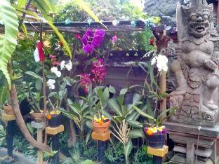 arjuna homestay ubud