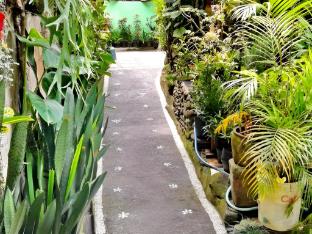 arjuna homestay ubud
