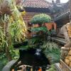 arjuna homestay ubud