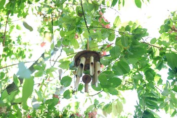 Akatara Stay Jimbaran,Jimbaran>>Bali,3 star