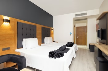 asia artemis suite