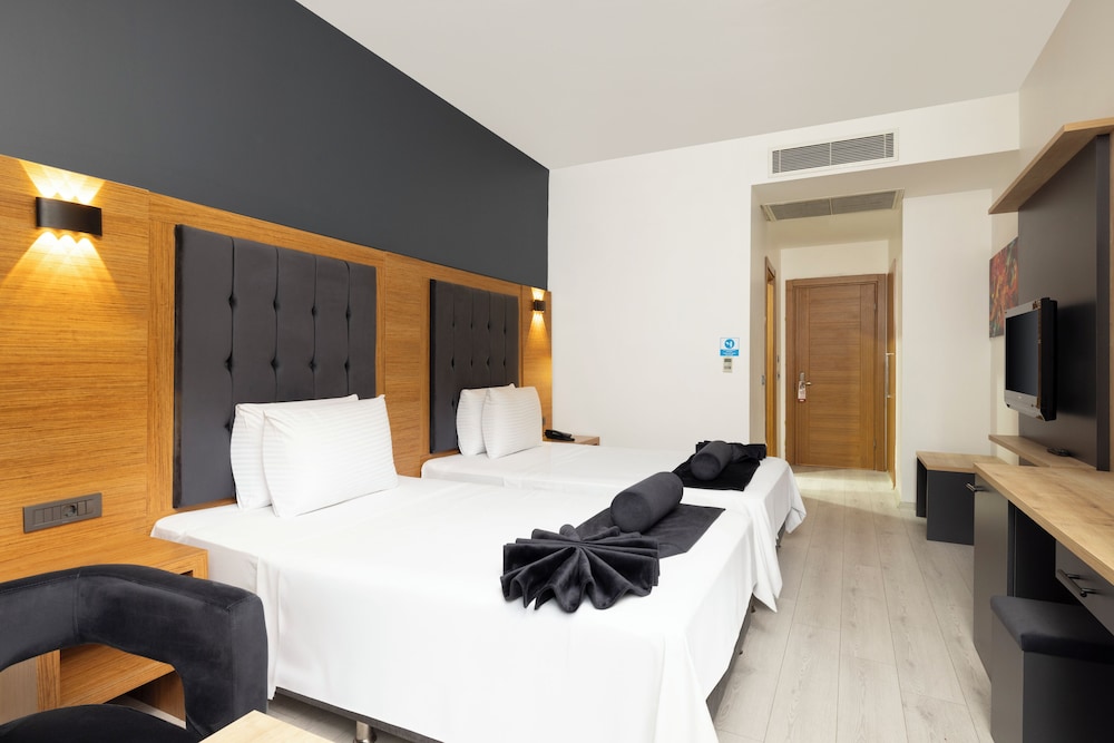 asia artemis suite