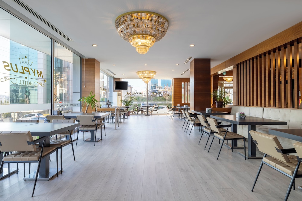 asia artemis suite