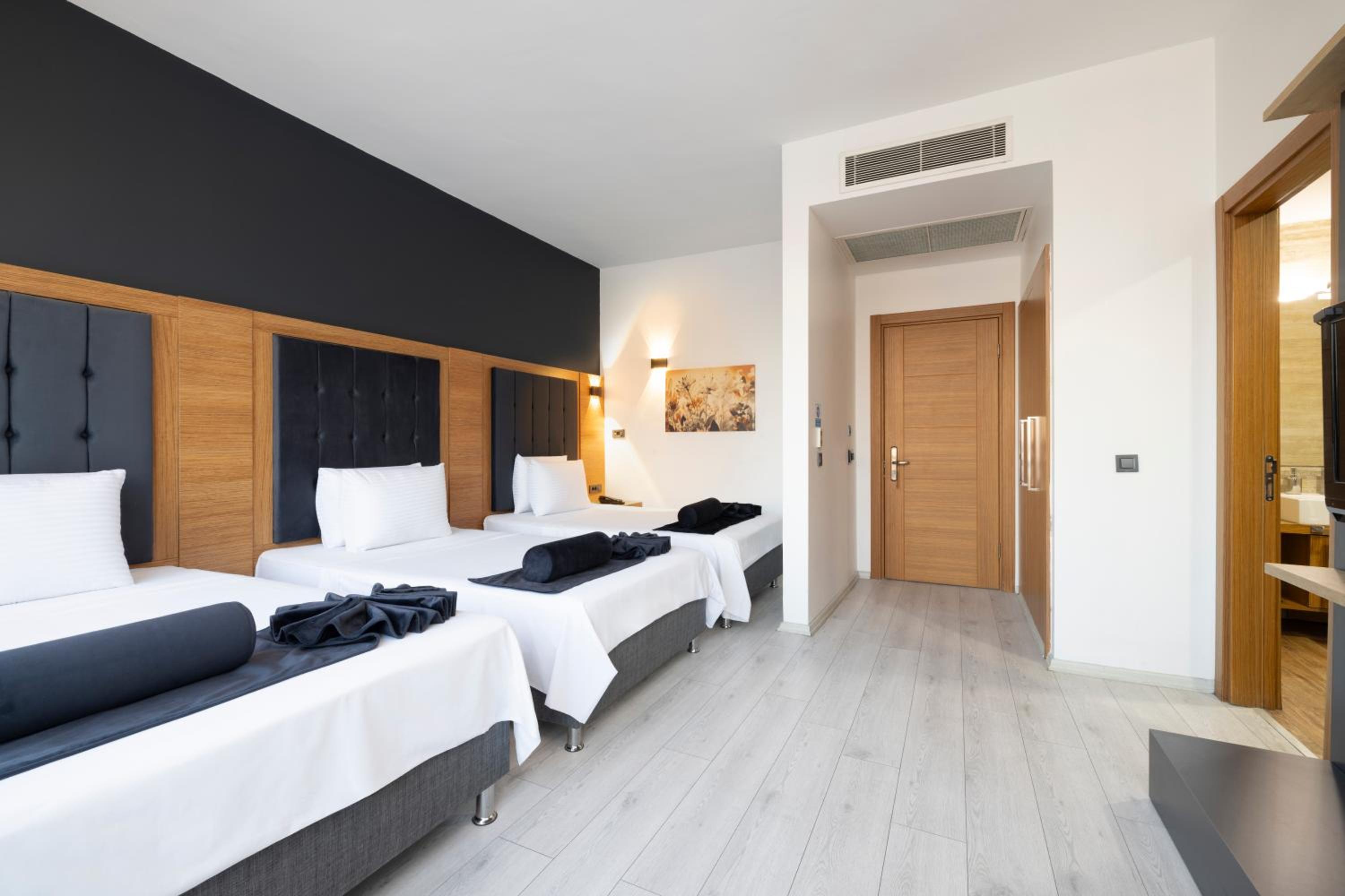 asia artemis suite