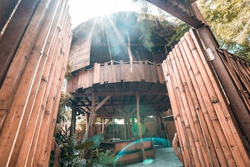 gili treehouses