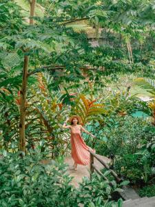 korurua dijiwa ubud