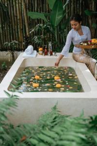 korurua dijiwa ubud