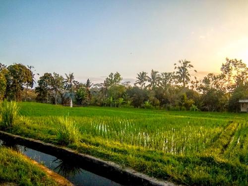 Ubud Paradise Villa,Gianyar>>Bali,4 star