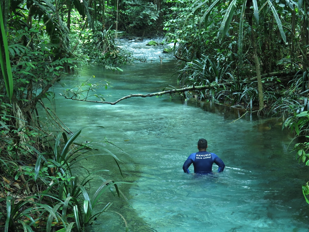 hamueco dive resort raja ampat