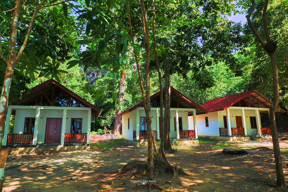 hamueco dive resort raja ampat