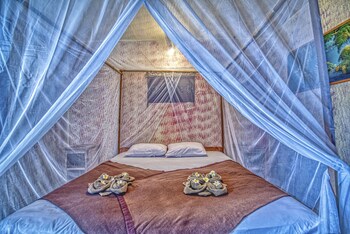 lovina central hostel