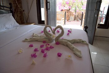 the rabbit tree hostel