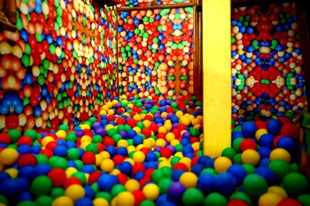 the rabbit tree hostel