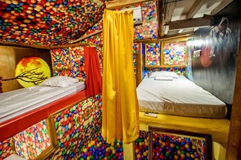 the rabbit tree hostel