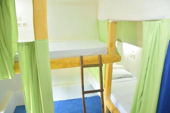 the rabbit tree hostel