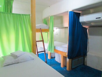 the rabbit tree hostel