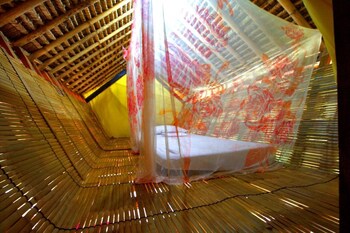 the rabbit tree hostel