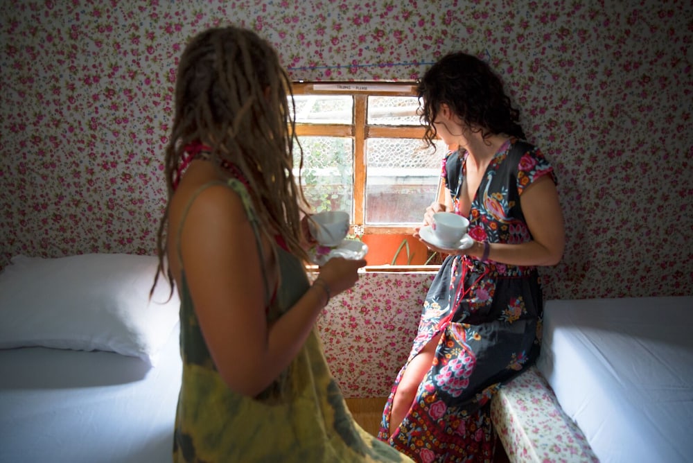 the rabbit tree hostel