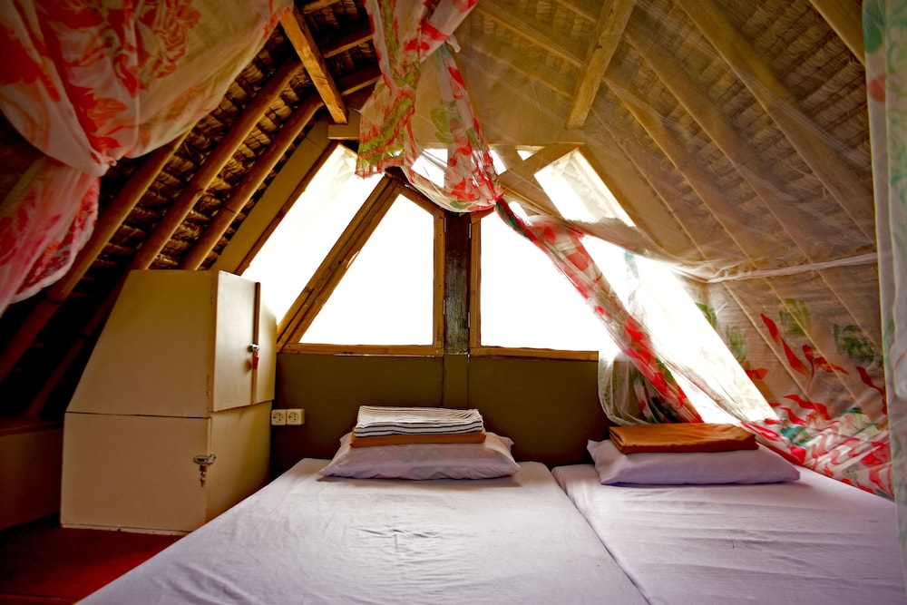 the rabbit tree hostel