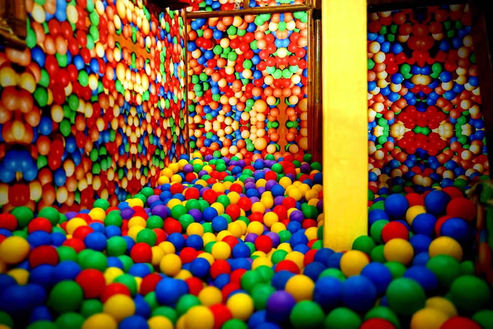 the rabbit tree hostel