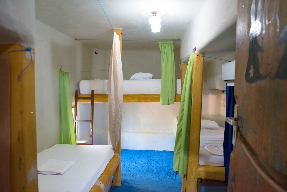 the rabbit tree hostel
