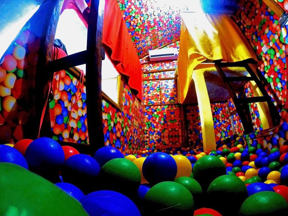 the rabbit tree hostel