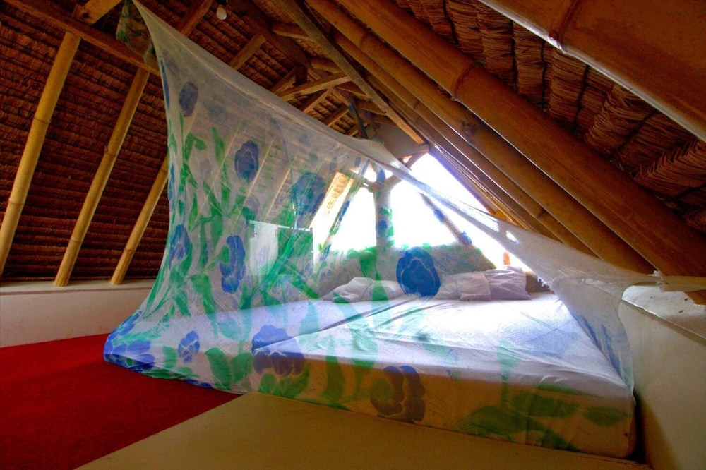 the rabbit tree hostel