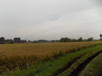 candy villa by pramana villas