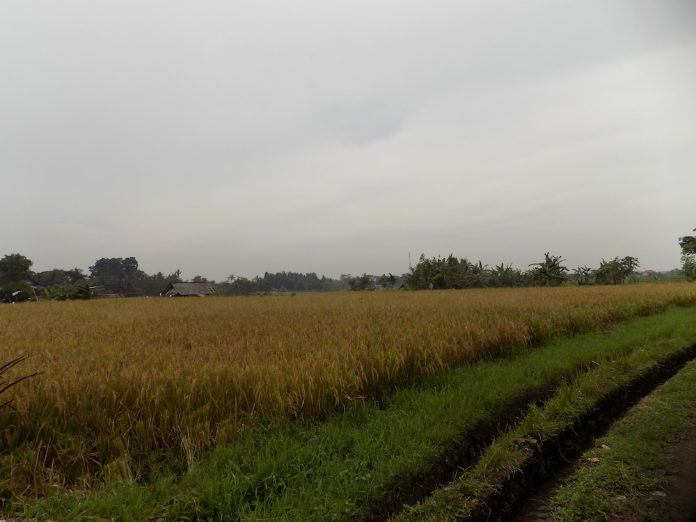 candy villa by pramana villas