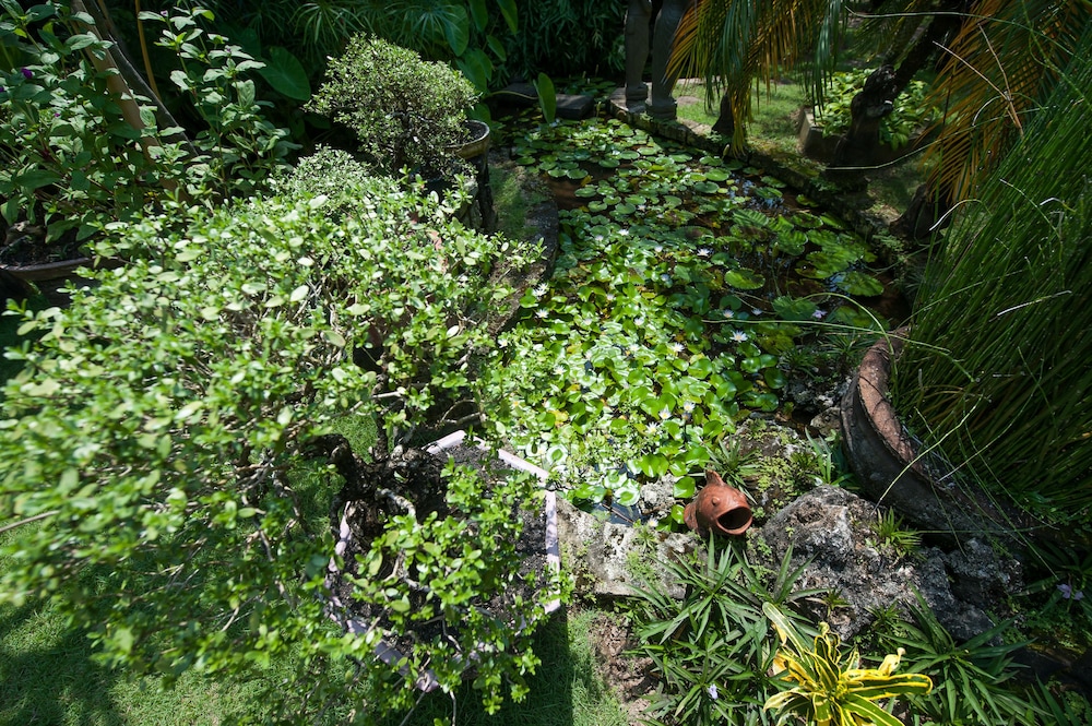 pondok agung bed and breakfast