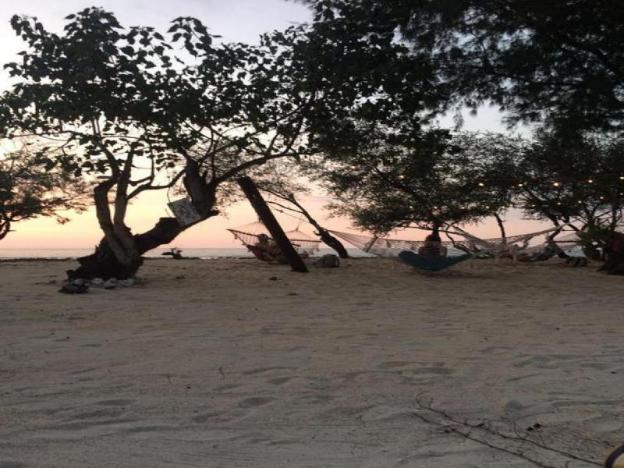 gili turtle beach resort
