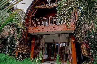 aldis bungalow