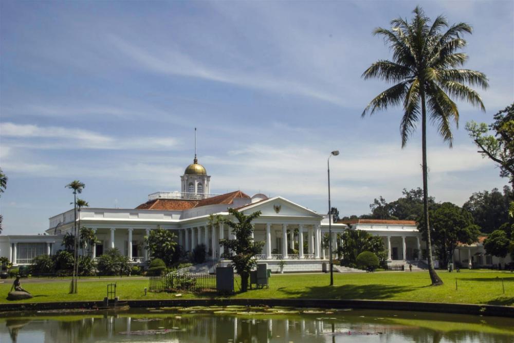 rumah verde