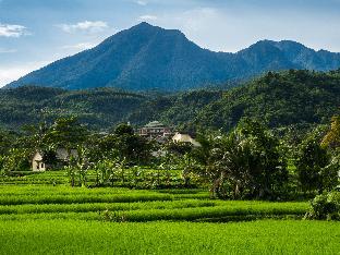 rumah verde