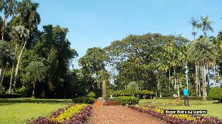 rumah verde