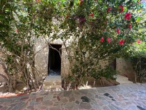 zad elmosafer guest house