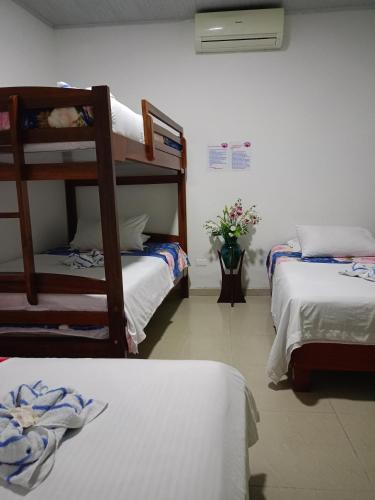hotel bella orquidea