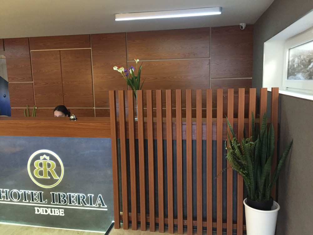 iberia didube