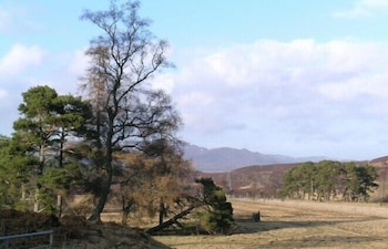 newtonmore