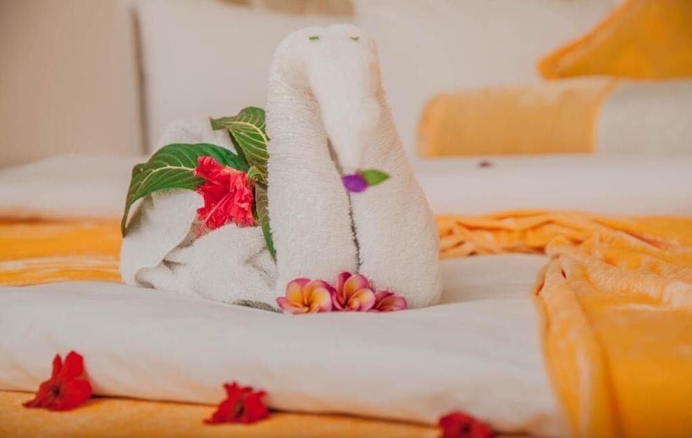 dreams hotel zanzibar