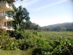 jungle palace homestay